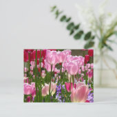 Tulip Garden Postkarte (Stehend Vorderseite)