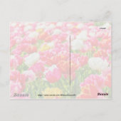 Tulip Garden Postkarte (Rückseite)