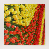 Tulip Garden Puzzle (Horizontal)