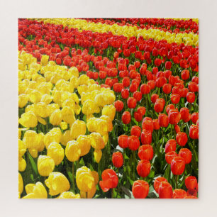 Tulip Garden Puzzle