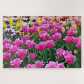 Tulip Garden Puzzle (Horizontal)