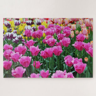 Tulip Garden Puzzle