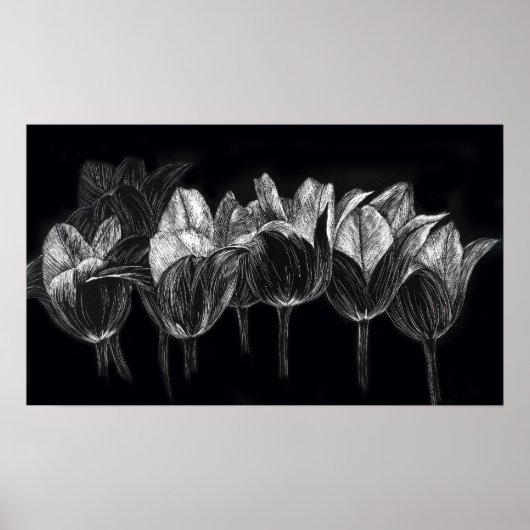 Tulip Garden Schwarz-weiß Scratchboard Poster (Vorne)