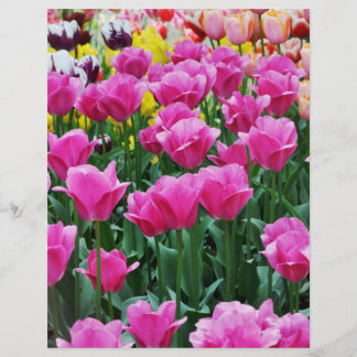 Tulip Garden Scrapbook Paper
