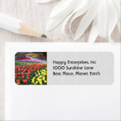 Tulip Gardens (Insitu)