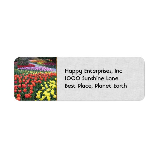 Tulip Gardens (Vorne)
