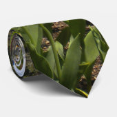 Tulip Gärten Elizabeth Park Krawatte (Gerollt)