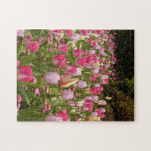 Tulip Garten! Puzzle (Horizontal)