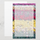 Tulip-Gartenanlage im Skagital, Briefpapier (Vorne/Hinten)