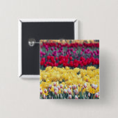 Tulip-Gartenanlage im Skagital, Button (Vorne & Hinten)
