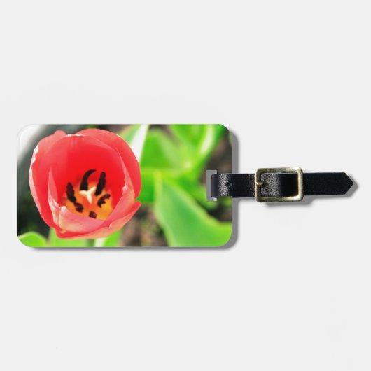 Tulip Gepäckanhänger (Vorderseite horizontal)
