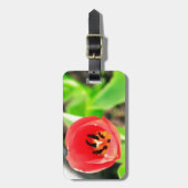 Tulip Gepäckanhänger (Vorderseite vertikal)