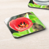 Tulip Getränkeuntersetzer (Linke Seite)