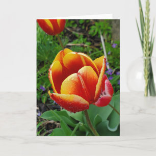 Tulip-Grußkarte Karte