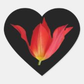 Tulip Heart Sticker (Vorderseite)