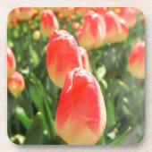 Tulip Heaven Getränkeuntersetzer (Vorderseite)