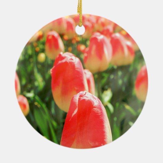 Tulip Heaven Keramik Ornament (Hinten)