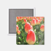 Tulip Heaven Magnet (Vorderseite/Rückseite)