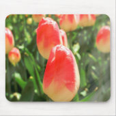 Tulip Heaven Mousepad (Vorne)