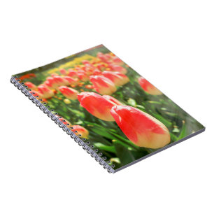 Tulip Heaven Notizblock