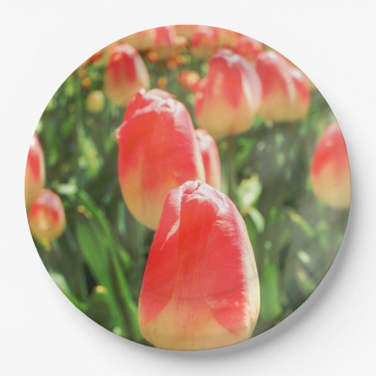 Tulip Heaven Plate Pappteller (Vorderseite)