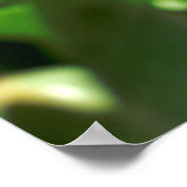 Tulip Heaven Poster (Ecke)