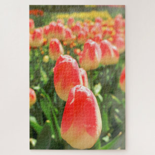 Tulip Heaven Puzzle