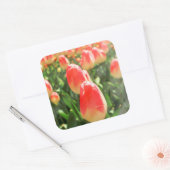 Tulip Heaven Quadratischer Aufkleber (Umschlag)