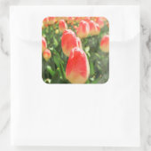 Tulip Heaven Quadratischer Aufkleber (Tasche)