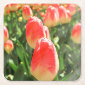 Tulip Heaven Rechteckiger Pappuntersetzer (Vorderseite)