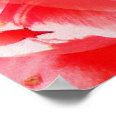 Tulip Illusion...... Poster (Ecke)