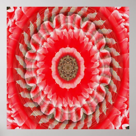 Tulip Illusion...... Poster (Vorne)
