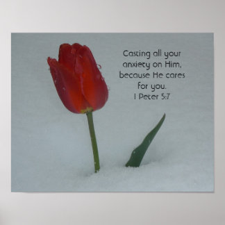 Tulip im Schnee Poster
