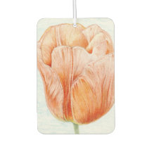 Tulip in Peach Color