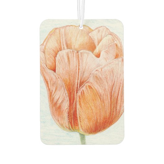 Tulip in Peach Color Autolufterfrischer (Rückseite)
