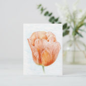 Tulip in Peach Color Postkarte (Stehend Vorderseite)