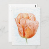 Tulip in Peach Color Postkarte (Vorne/Hinten)