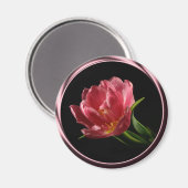 Tulip in Spring Double Bloom Foto Magnet (Vorderseite/Rückseite)