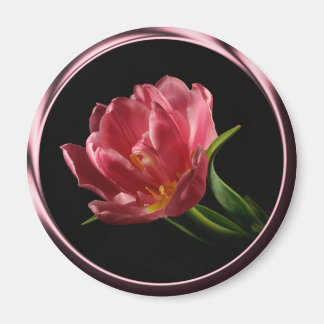 Tulip in Spring Double Bloom Foto Magnet