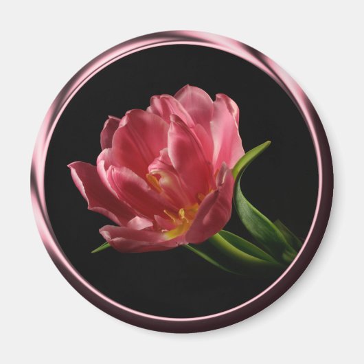 Tulip in Spring Double Bloom Foto Magnet (Vorne)