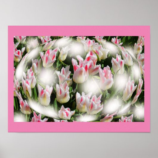 Tulip-Inspirationen Poster (Vorne)
