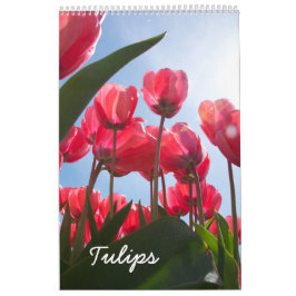 Tulip-Kalender Kalender