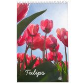 Tulip-Kalender Kalender (Titelbild)