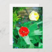 Tulip-Karte (Vorne/Hinten)