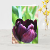 Tulip Karte (Gelbe Blume)