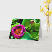 Tulip Karte (Gelbe Blume)