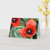 Tulip Karte (Gelbe Blume)