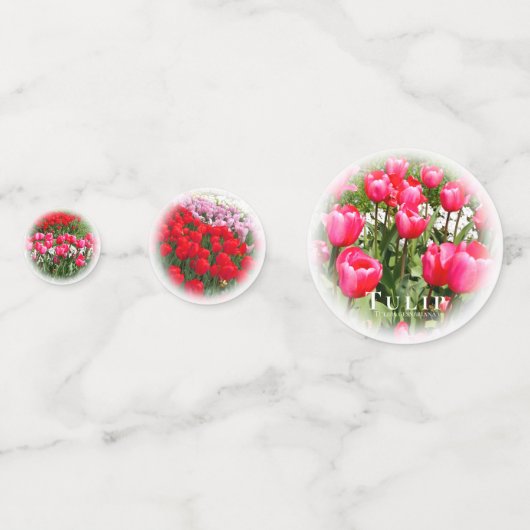 Tulip Konfetti (Vorderseiten)