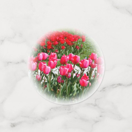 Tulip Konfetti (Klein Vorderseite)