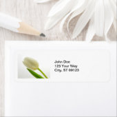 Tulip-Label (Insitu)